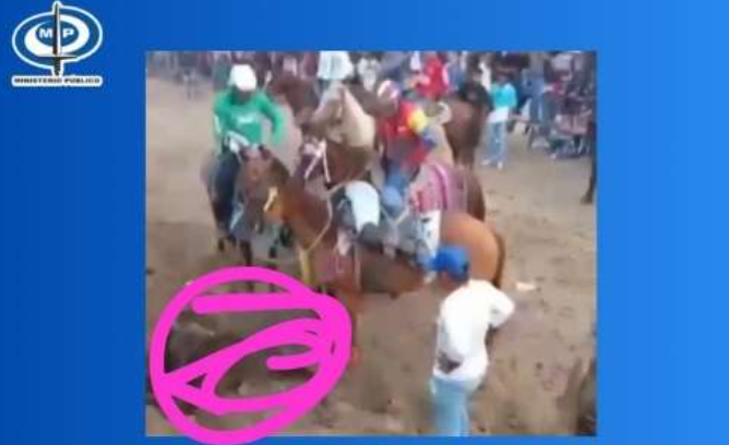 Investigarán caso de maltrato animal en Ferias de Tintorero