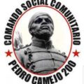 Renuncia Director Nacional del Comando Socialista Pedro Camejo 200