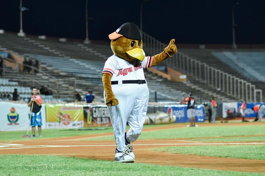 La LVBP calienta motores con el Campeonato de Mascotas: 
