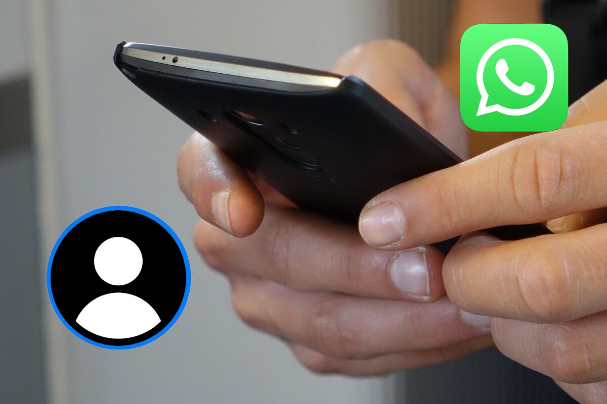 WhatsApp permitirá saber cuándo ciertos contactos subieron un estado