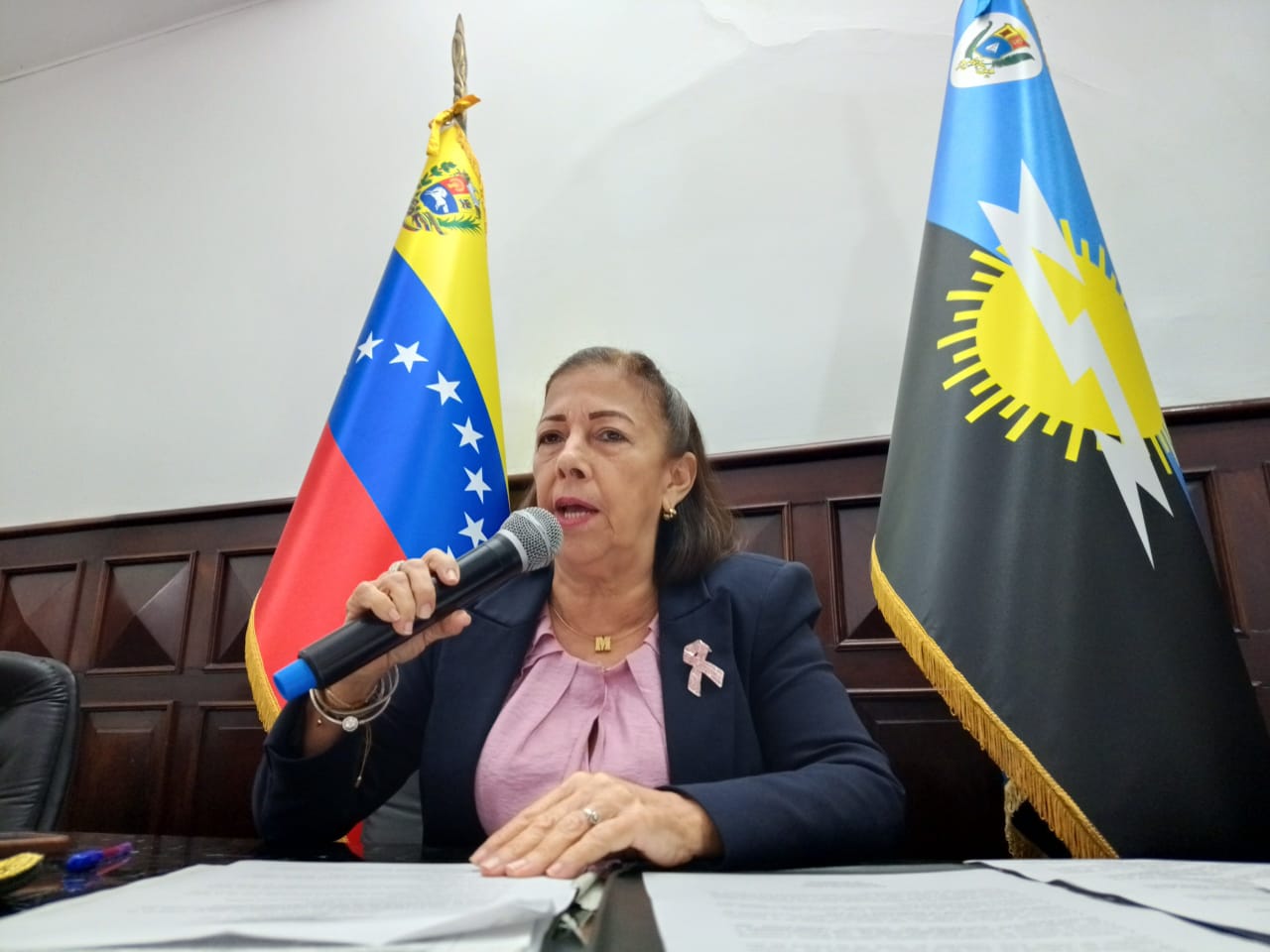 Clezulia aprobó proyecto de acuerdo en respaldo al Consejo Nacional por la Soberania y la Paz