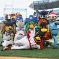 ¡Play Ball! Arranca la temporada 2025-2026 de la LVBP