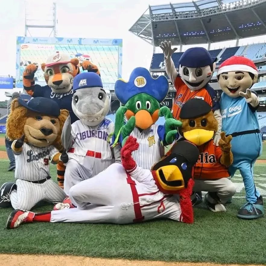 ¡Play Ball! Arranca la temporada 2025-2026 de la LVBP