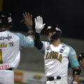 Bravos derrota 6-2 a Leones en el estreno de ambos equipos en la LVBP