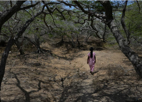 Rapto y muerte de una niña de 5 años estremece Guajira