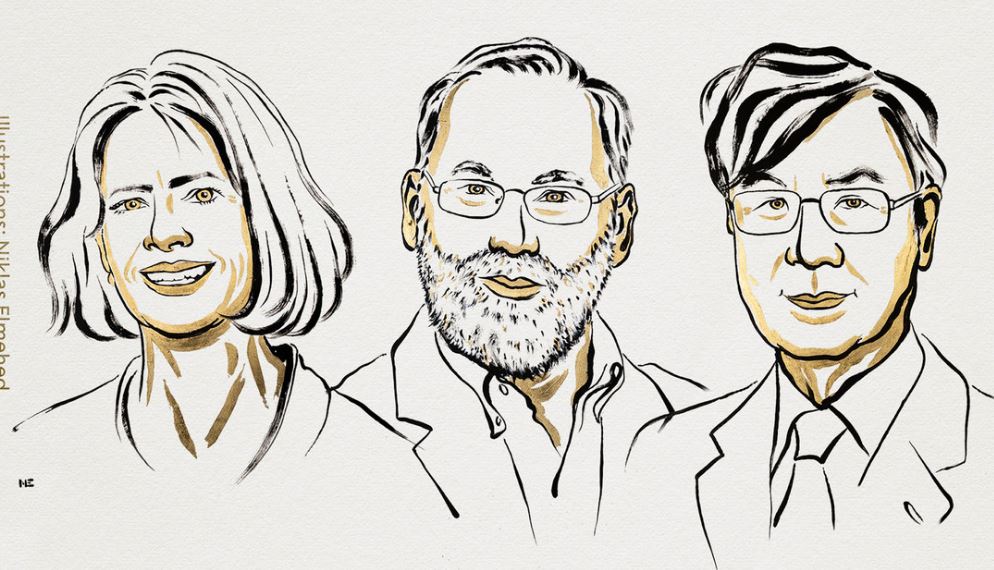 Sepa quiénes son los ganadores del premio Nobel de Medicina 2025: Descubrieron cómo se regula el sistema inmune