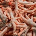 ¡Patas pa arriba!: Recortes de pollo aumentan de precio todos los días