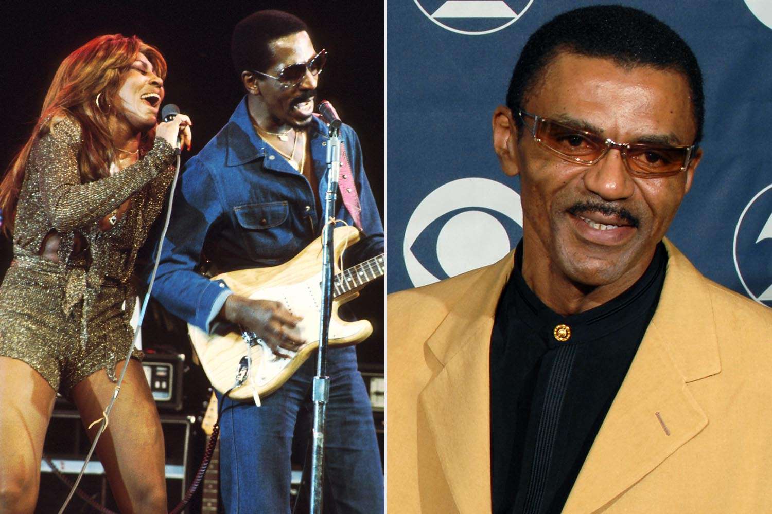 Falleció el hijo de Tina Turner a los 67 años en Los Ángeles