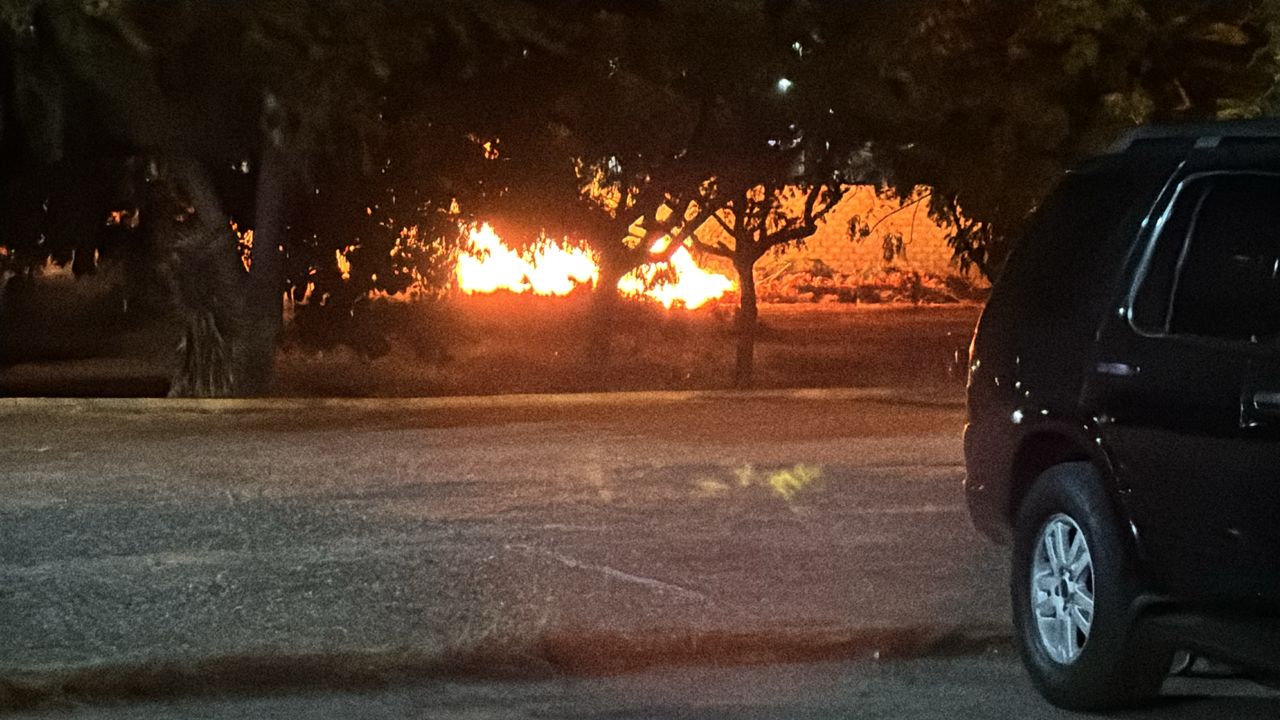 Fuerte incendio en los terrenos del Trebol 