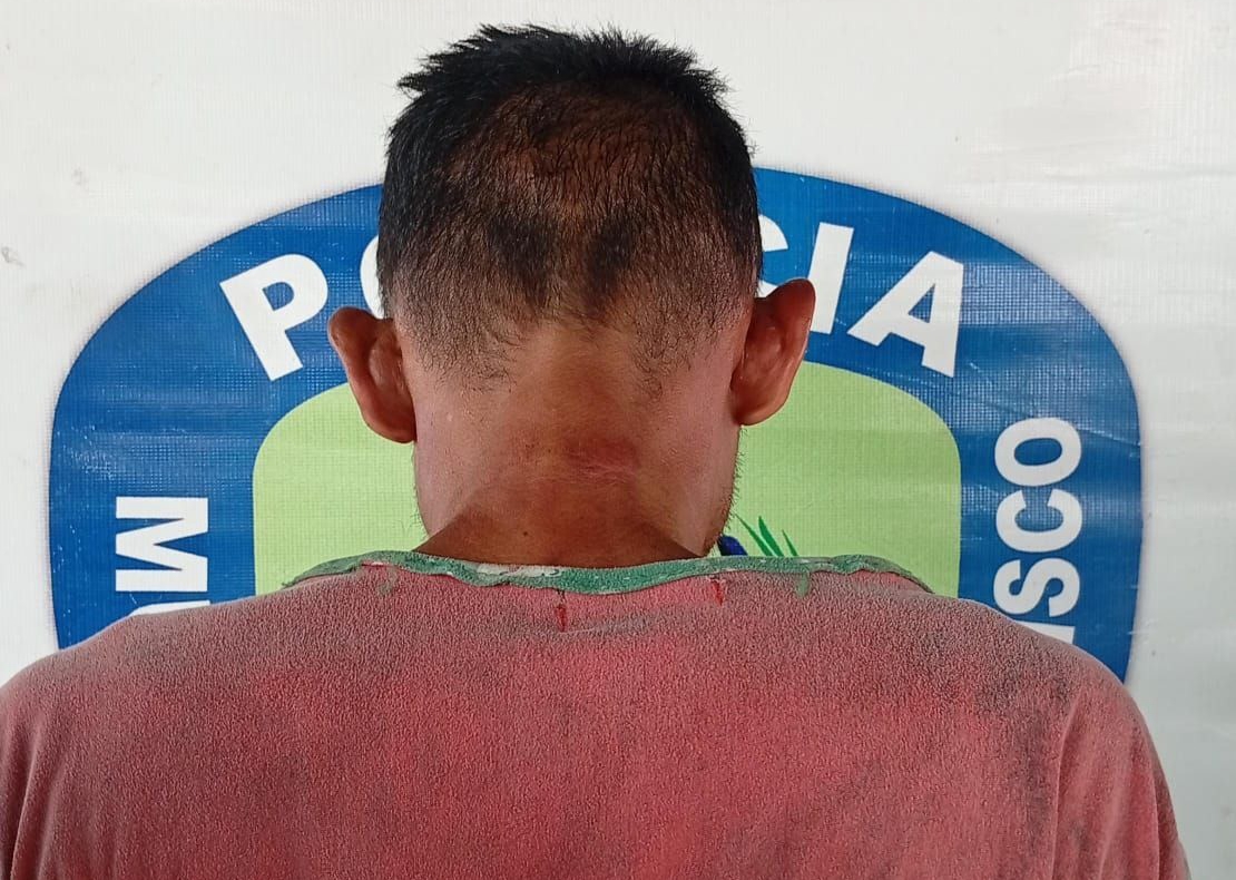 Ladrón de cuerdas robó una unidad y se subió a un árbol para esconderse de Polisur, pero lo atraparon