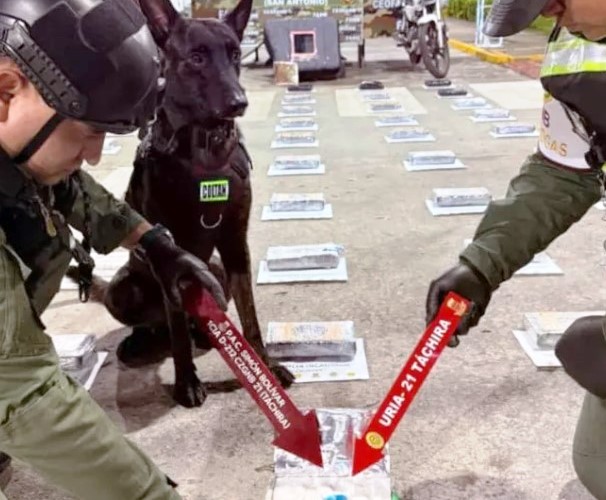 Incautan en Táchira más de 50 kilos de cocaína ocultos en el tanque de gasolina de una camioneta