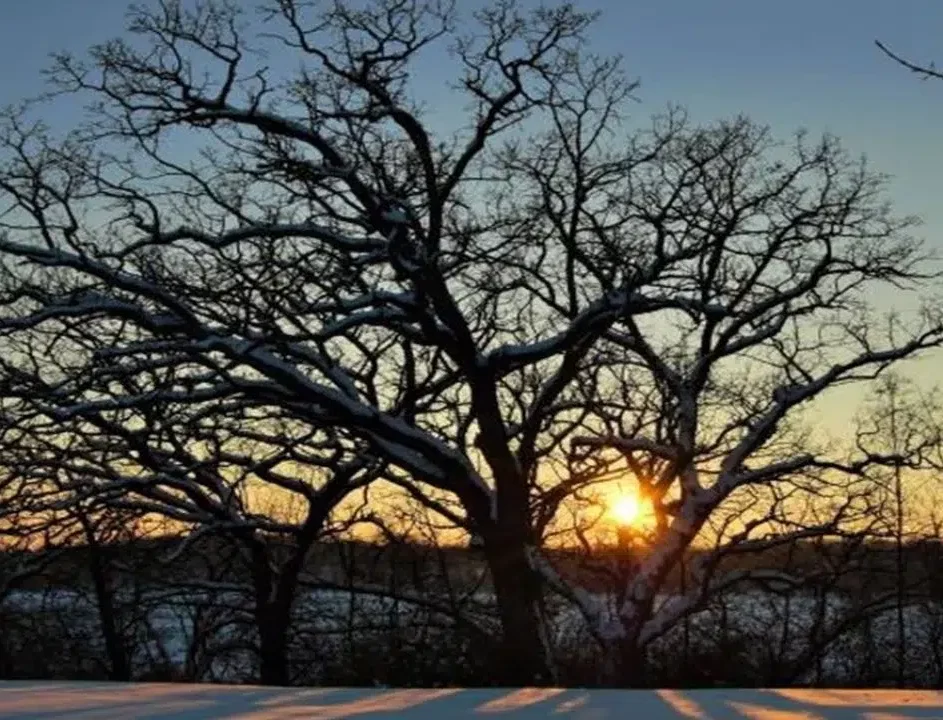 Este 21-Dic es el solsticio de invierno, indicó el Inameh