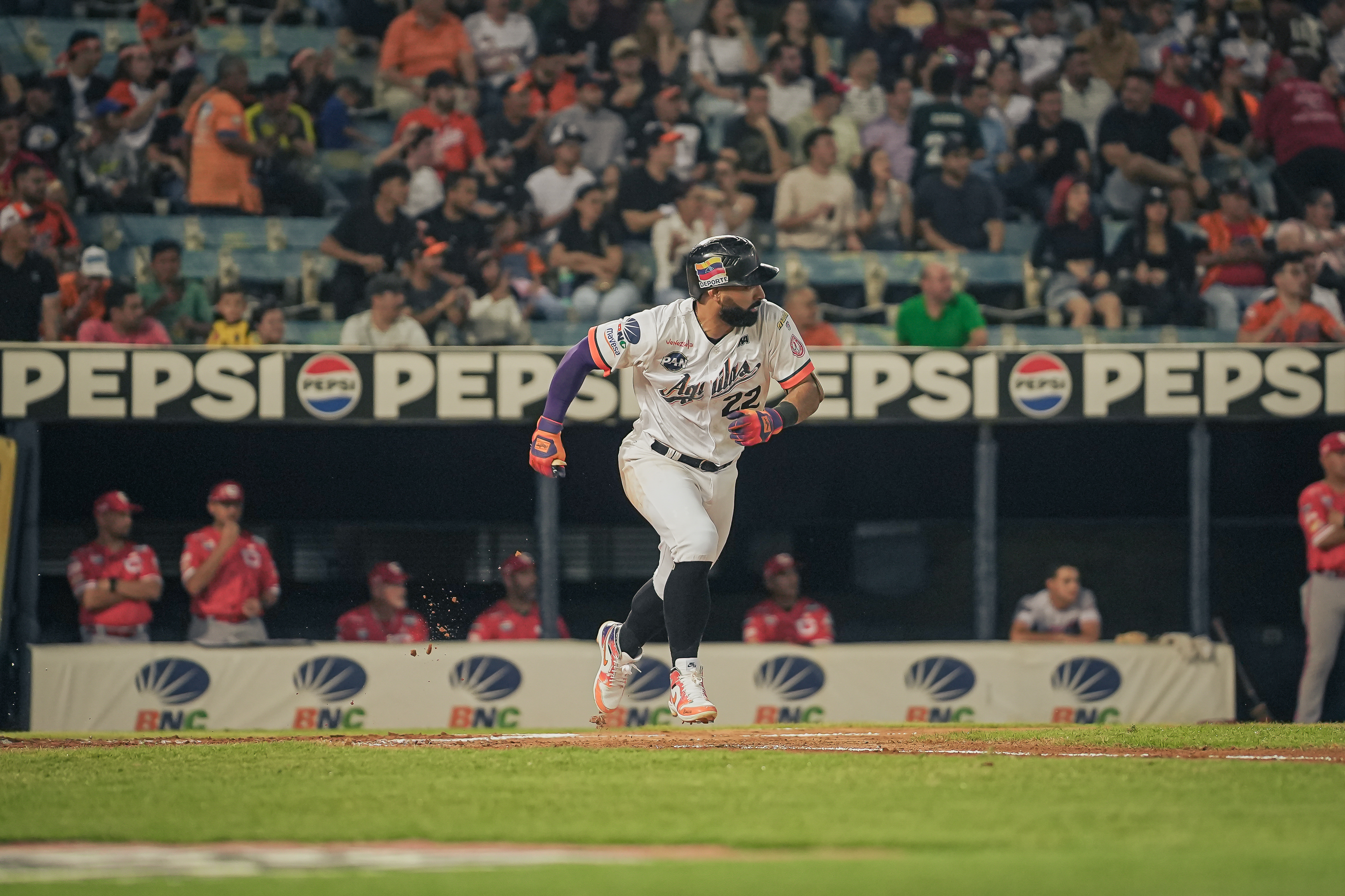 Alí Castillo alcanzó los 200 hits en postemporada de LVBP