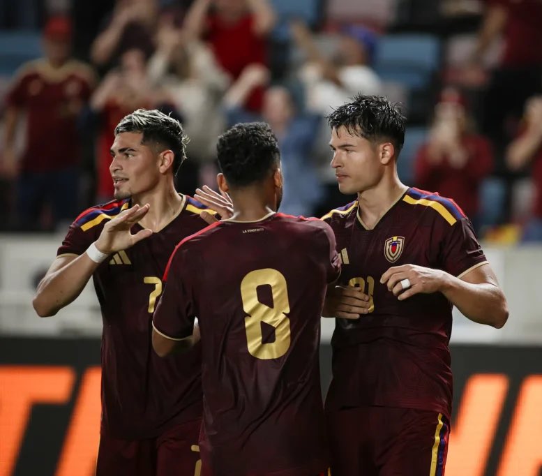 La Vinotinto podría jugar un amistoso ante Francia en marzo