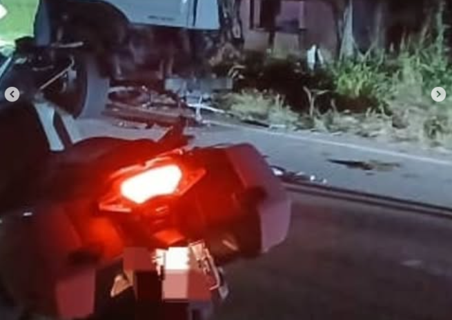 Una vaca provocó el impacto entre dos camiones en la carretera Lara-Zulia