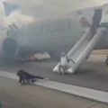 Avión de American Airlines se incendia antes del despegue
