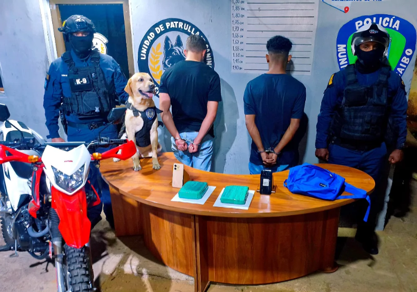Intentaron botar un paquete de marihuana y este canino dio con su ubicación en la avenida Guajira