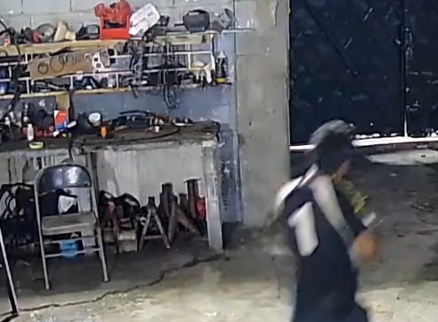 Entró a robar en las casas del Naranjal y las cámaras de seguridad lo delataron