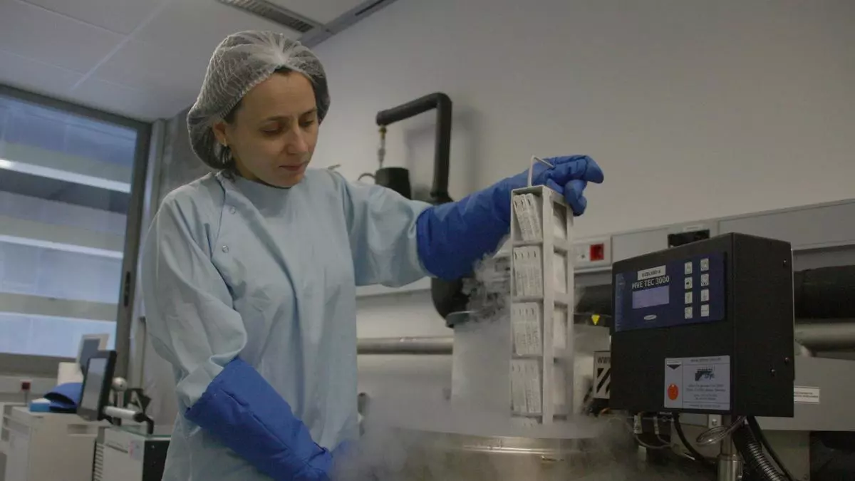 Estudio demuestra los beneficios de la donación sanguínea de cordón umbilical a bebés prematuros extremos