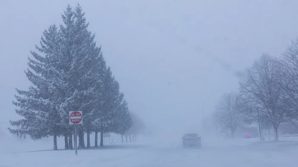 Brutal tormenta de nieve azotará suelo americano en los próximos días: Se pronostican cortes de luz e interrupciones en carretera