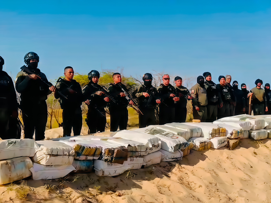 Localizan enterradas cinco mil 729 panelas de marihuana en Caimare Chico