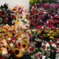 El mercado de las flores para todos los bolsillos este 14 de febrero en Maracaibo
