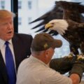 Así posó Donald Trump para la portada junto al águila calva: la icónica ave de la revista TIME