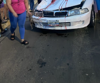 Atroz arrollamiento dejó a un hombre muerto en la C-1, a la altura del puente Pomona