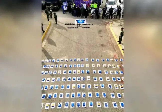 Incautan más de tonelada y media de marihuana en Lara